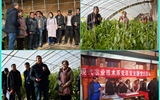 現(xiàn)代農(nóng)業(yè)技術(shù)系開展“喜迎己亥新春佳節(jié)、送科技送文化下鄉(xiāng)”主題黨日活動