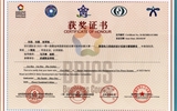 2023年一帶一路暨金磚國家技能發(fā)展與技術(shù)創(chuàng)新大賽新型電力系統(tǒng)的設(shè)計實施賽項一等獎
